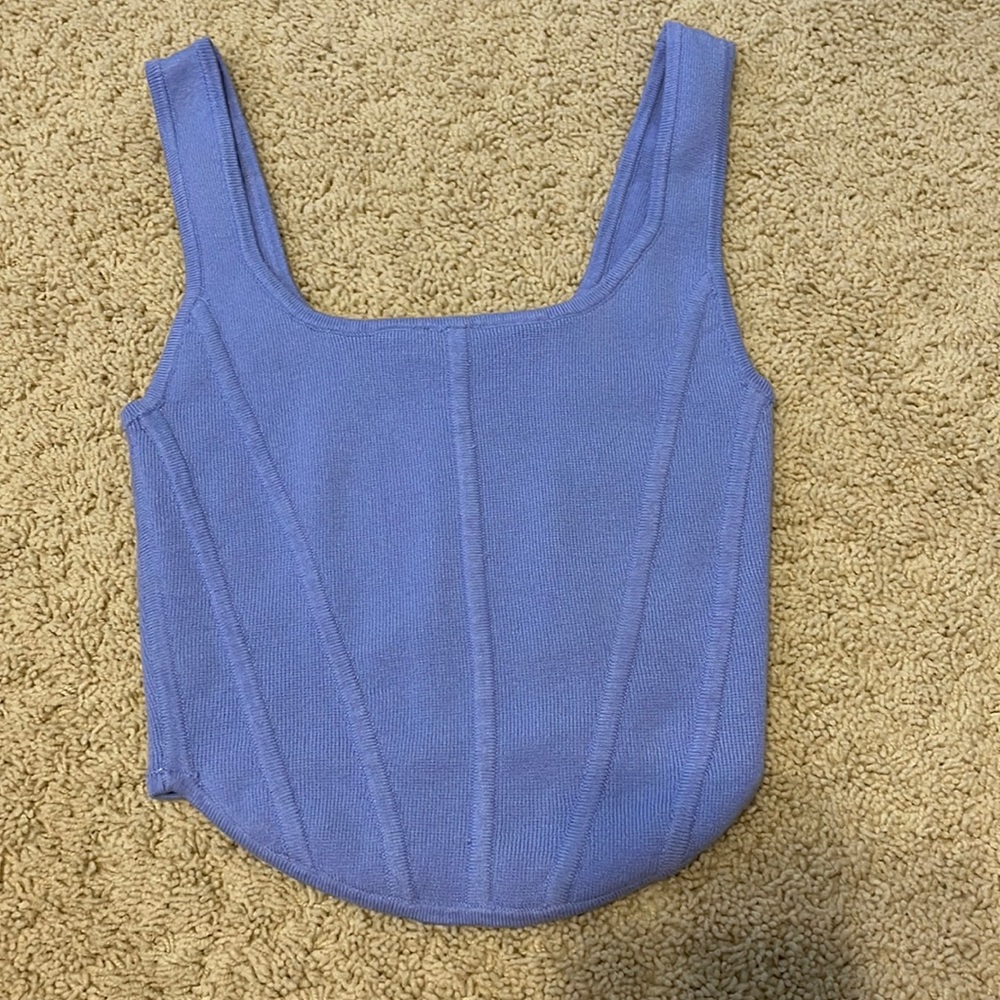 Aritzia Blue Tank Top